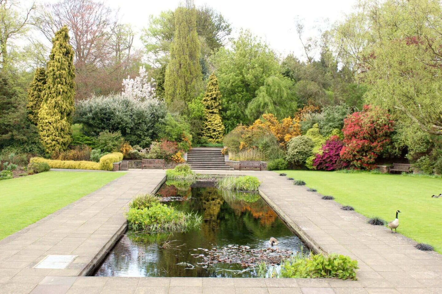 Hill Gardens, Hampstead Heath
