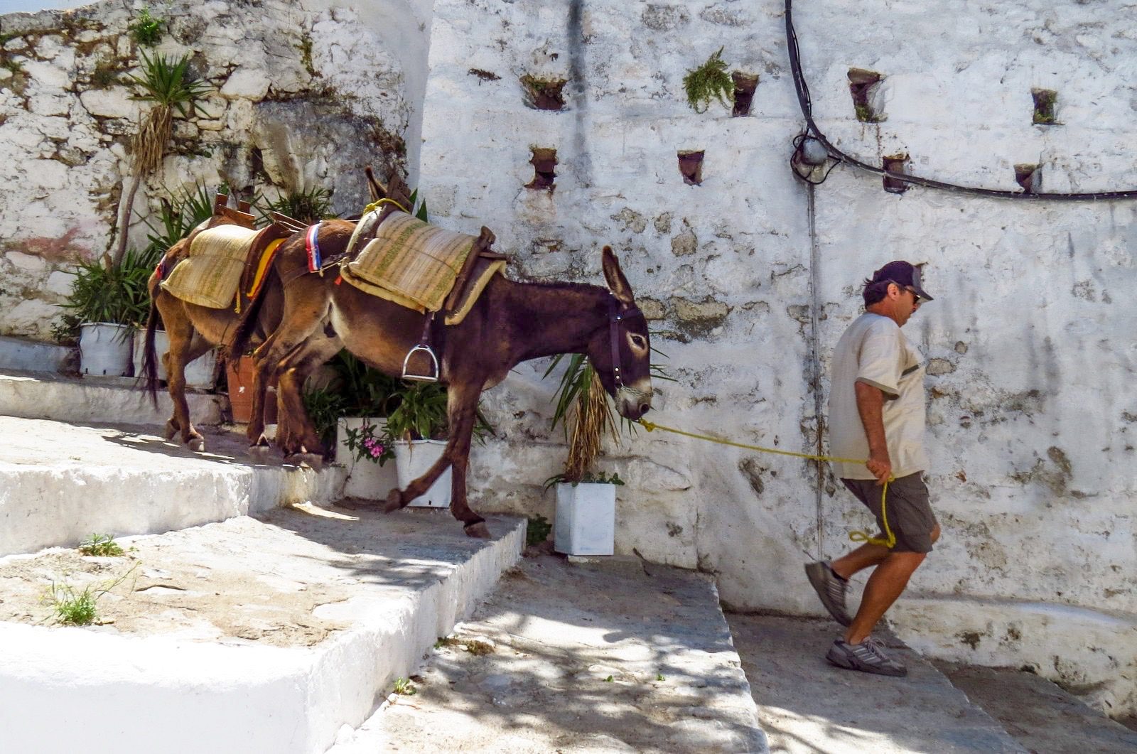 RHODES CITY GUIDE 2018, THINGS TO DO IN RHODES, WWW.NISHIV.COM
