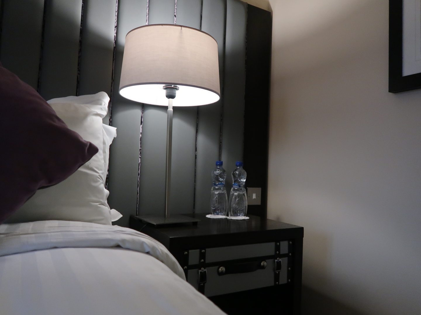 TRINITY CITY HOTEL DUBLIN REVIEW, www.nishiv.com, nishi v