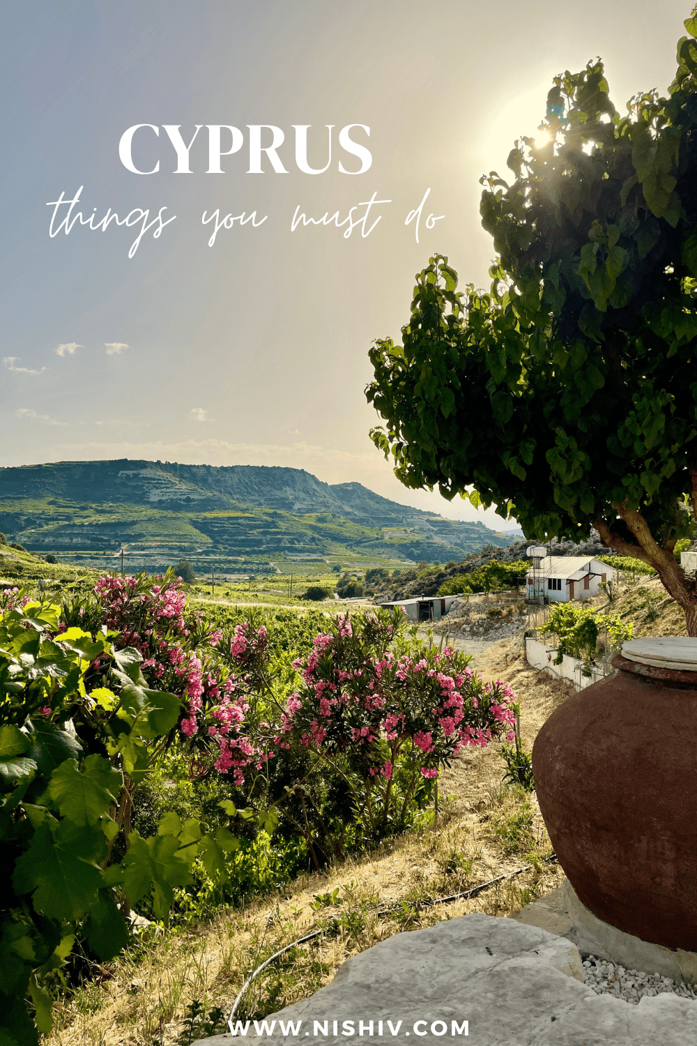 Things To Do in Limassol Cyprus