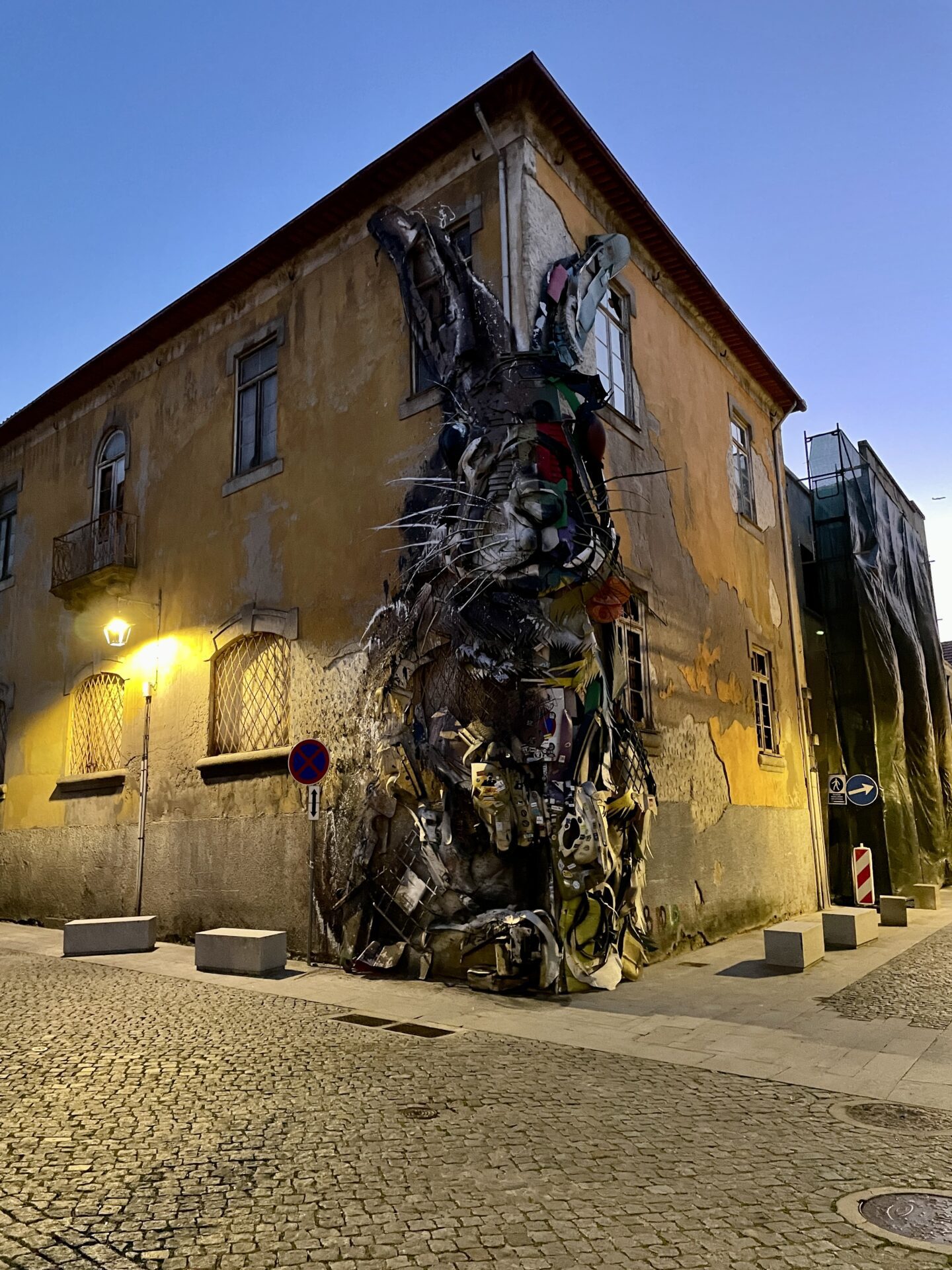 Things to do in Porto - half rabbit