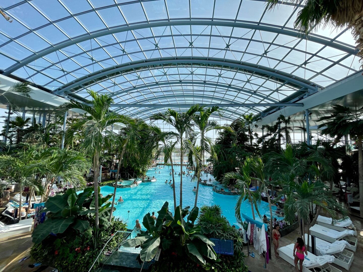 Therme Bucharest palm zone