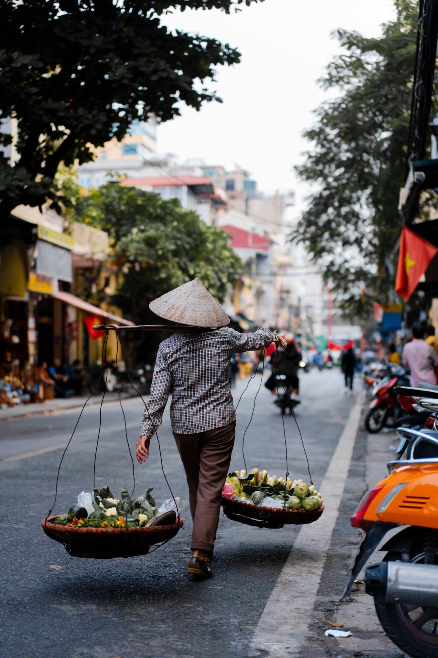 woman in vietnamese hat in hanoi