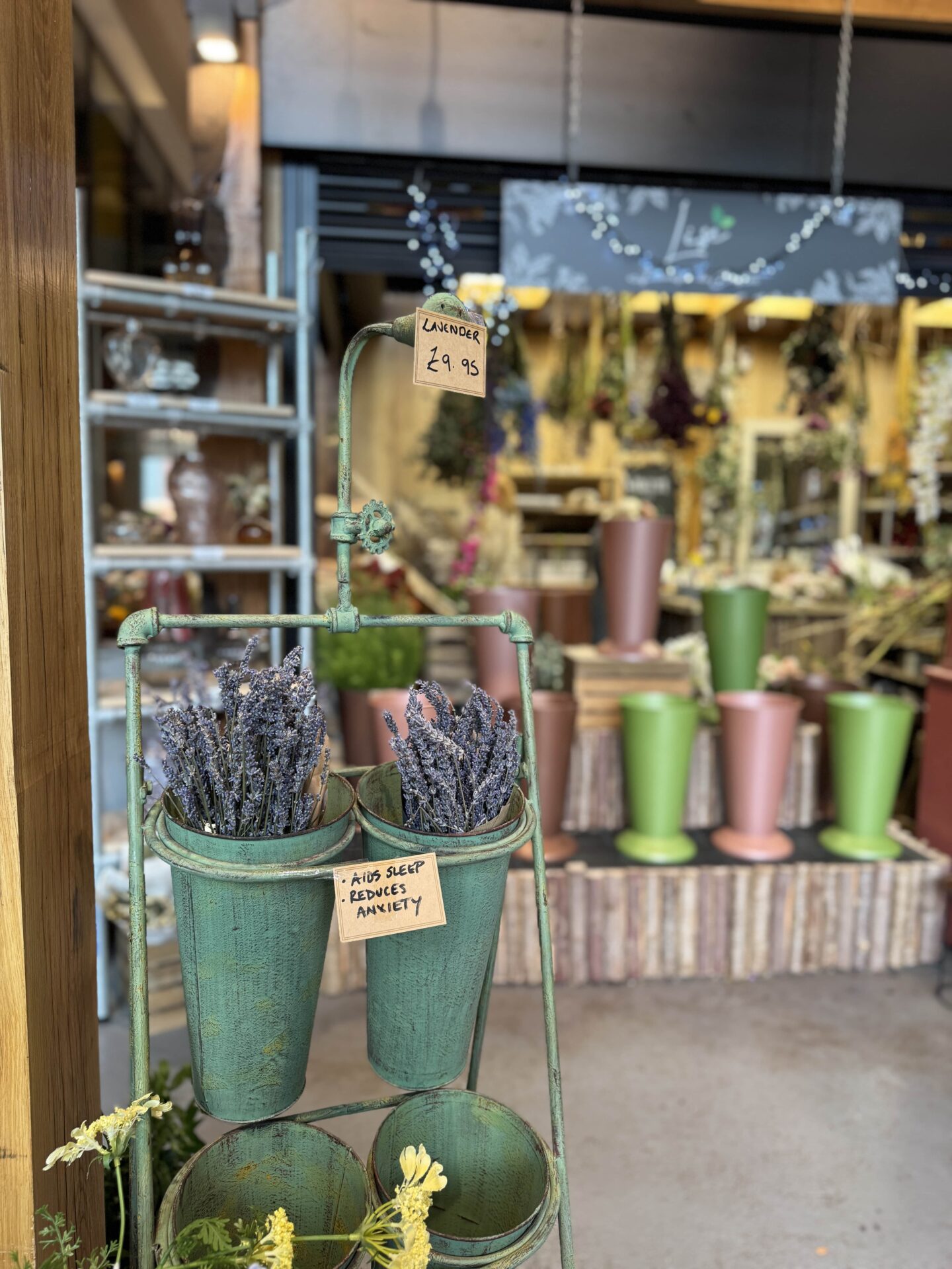 dried lavendar at Chester Market