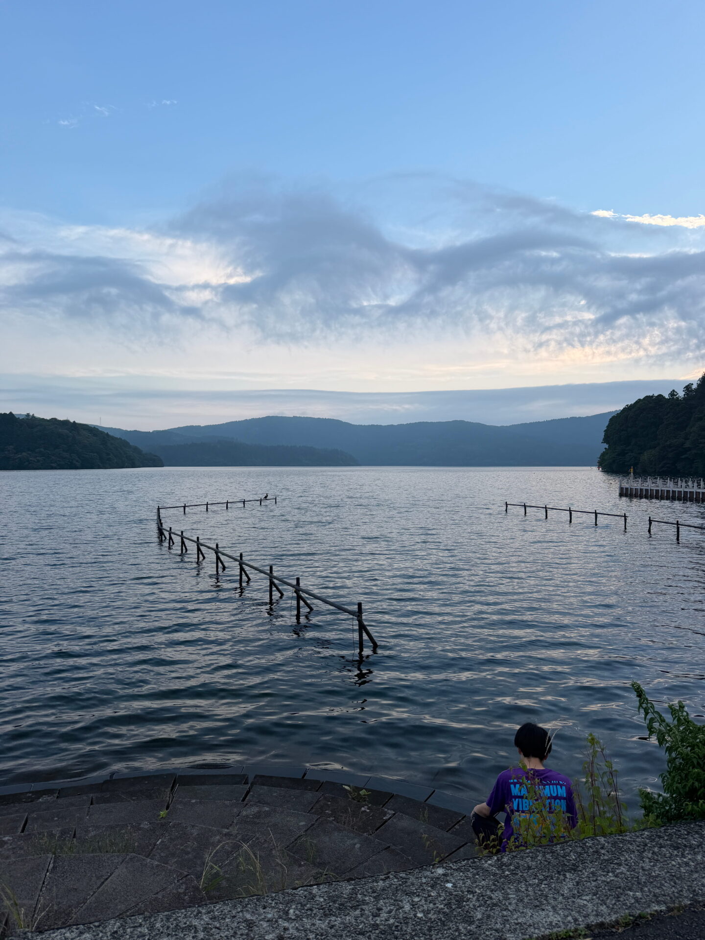 Lake Ashi stretches towards layers of forested mountains beneath dramatic clouds during a Hakone day trip. Old wooden posts extend into the calm water near the shore.