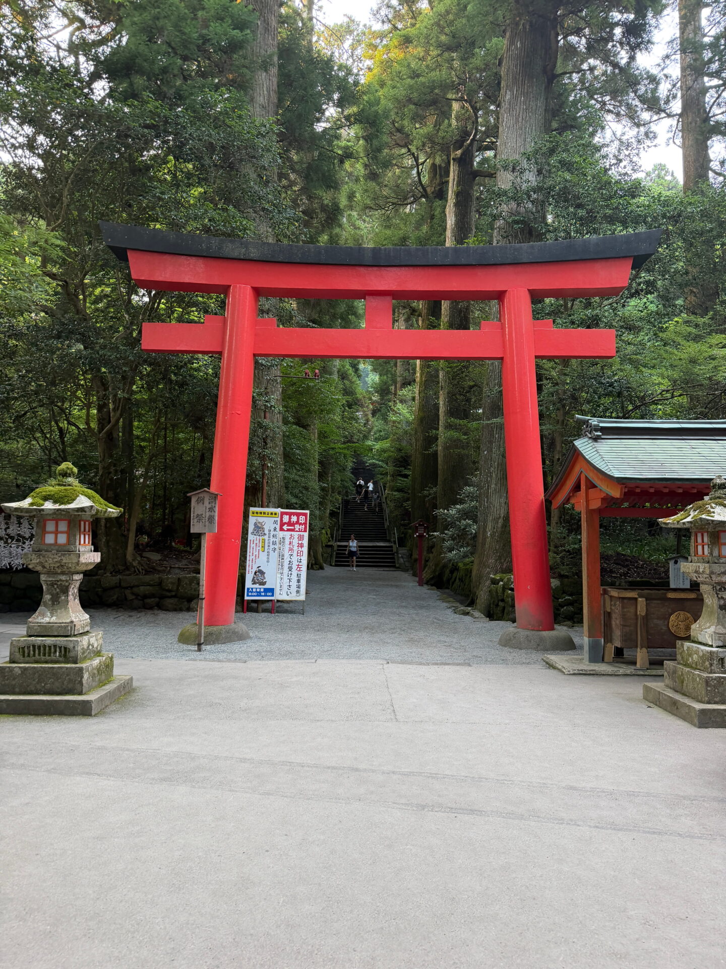 A large red torii gate marks the forested entrance to Hakone Shrine. Towering cedar trees surround the stone lanterns and long staircase leading deeper into the shrine grounds.