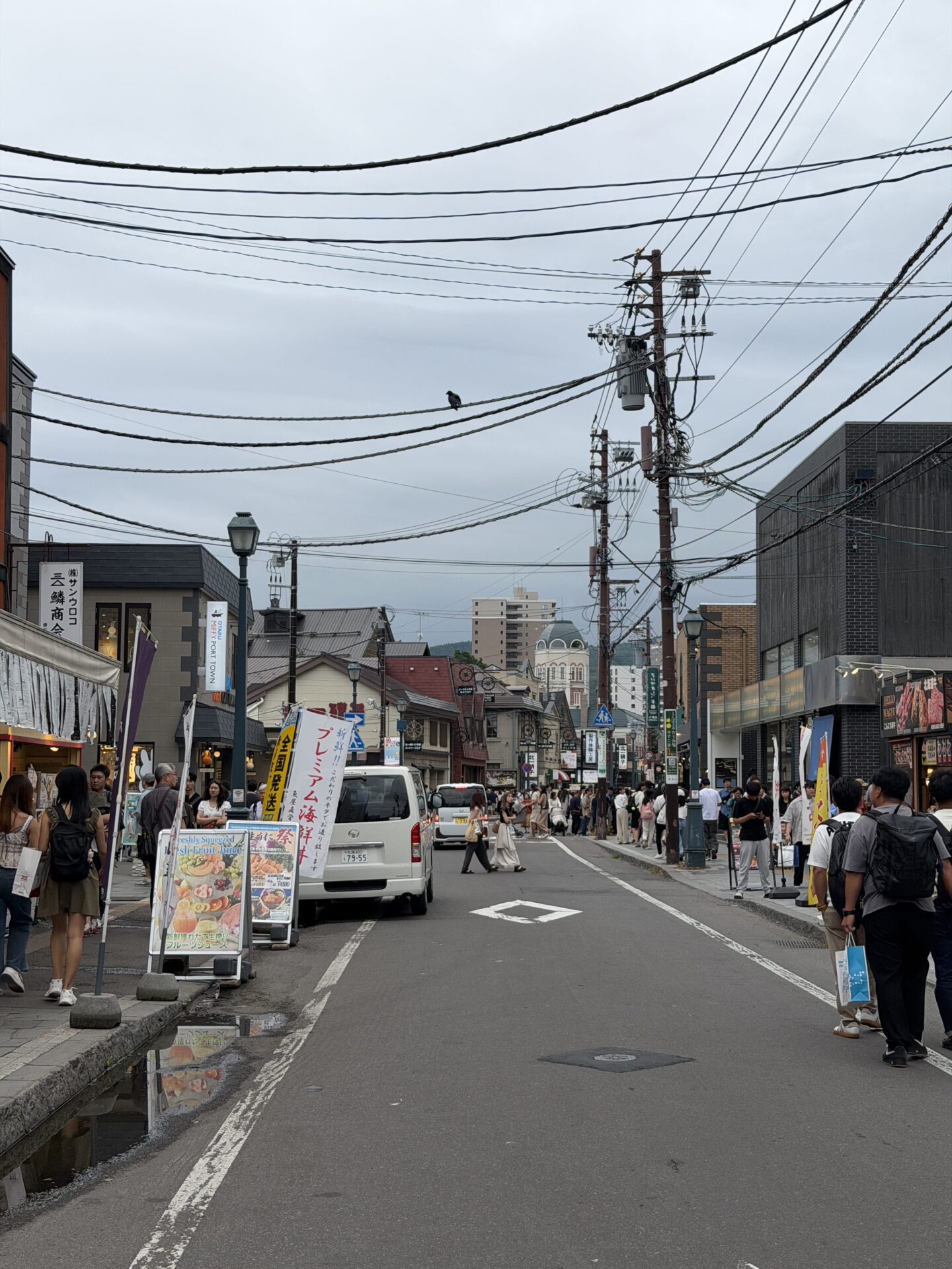 Sakaimachi Street. A busy shopping street in Otaru with tourists walking past souvenir shops and restaurants on both sides of the road. Colourful food signs and Japanese shop banners line the pavements while overhead power cables crisscross the cloudy sky above the historic buildings.