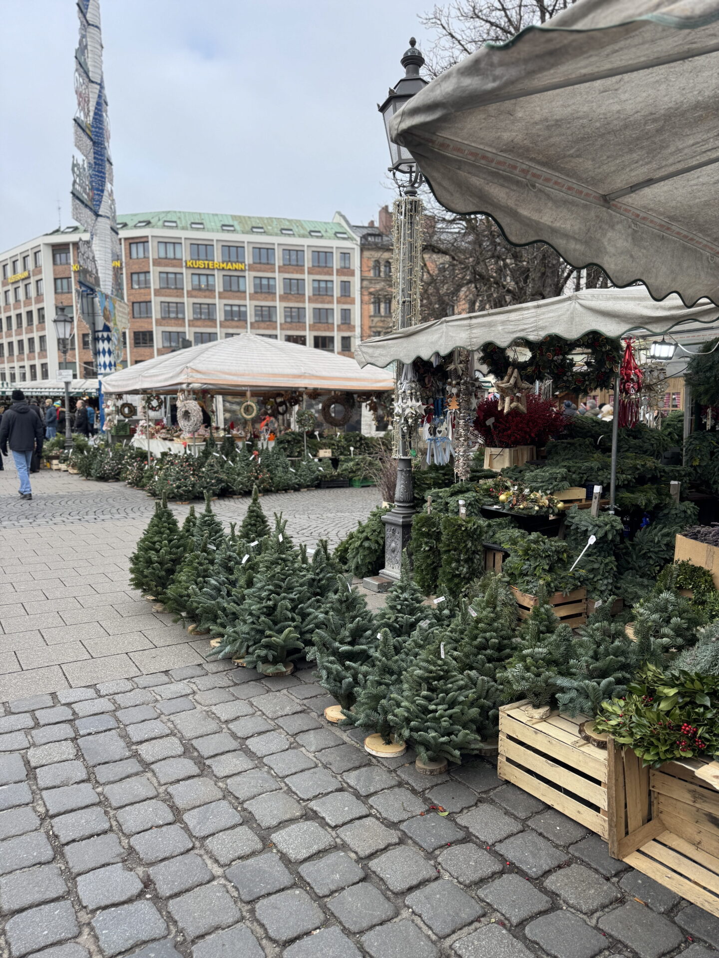 Rows of small fresh Christmas trees, evergreen wreaths and festive arrangements displayed for sale at an outdoor market in Munich. Wooden crates hold greenery and red berry decorations beneath white market canopies, with the city buildings behind.